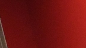 Libros, bolsos y otros productos más son algunos de los que no debes comprar en Target.