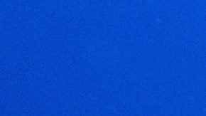 Tiburón lata cerveza