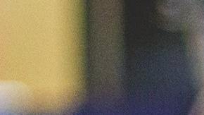 TSA perro más lindo 2021