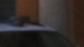 Viral Ferrari Roma atorado