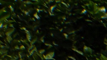 Virus de Marburgo en África: la OMS alerta por primera muerte confirmada