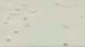 Sospechoso solicitado por robo.