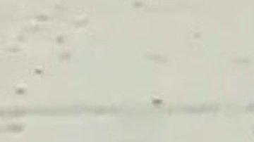 Sospechoso solicitado por robo.