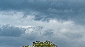 El pasado 6 de enero simpatizantes de Donald Trump intentaron irrumpir por la fuerza en las instalaciones del Capitolio.