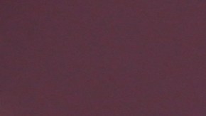 Adamari López causa sensaciones al presumir su abdomen de flaca.