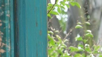 Alejandra Ávalos famosa actriz de telenovelas mexicanas.