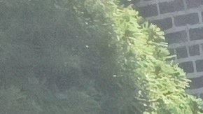 Miles de residentes de Queens que vivían en sótanos perdieron  todos sus muebles y electrodomésticos por las inundaciones de 2021.