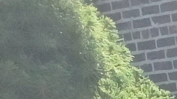 Miles de residentes de Queens que vivían en sótanos perdieron  todos sus muebles y electrodomésticos por las inundaciones de 2021.