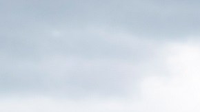 Miles de inmigrantes y activistas marcharon en Washington, D.C.