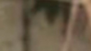 Experto cree que Brian Laundrie pudo mentirle a su padres sobre su visita a Carlton Reserve en Florida