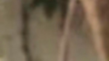 Experto cree que Brian Laundrie pudo mentirle a su padres sobre su visita a Carlton Reserve en Florida