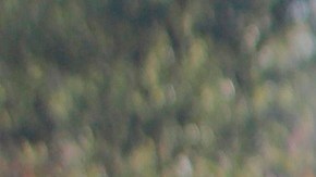 Migrantes haitianos cruzan el Rio Bravo en espera de un proceso de Asilo