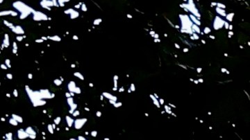 Aniversario Torres Gemelas