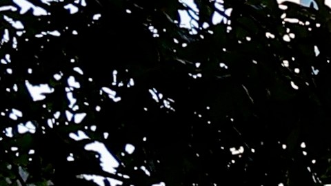 Aniversario Torres Gemelas