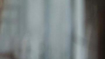 Haitianos expulsados de Estados Unidos llegan a Haití