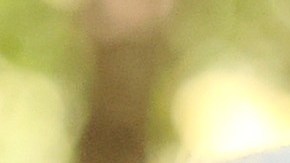 Bill y Hillary Clinton, Barack y Michelle Obama, Joe y Jill Biden y ex alcalde Michael Bloomberg.