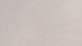 Gómez Mont es propietaria de una mansión en Miami y de un apartamento en Nueva York