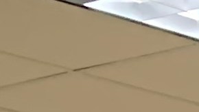 Mandatos de vacunación en Nueva York están disparando incremento de personas vacunadas