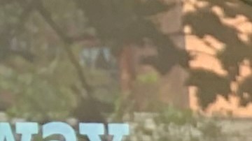 Entra en vigor prohibición de acceso de no vacunados a restaurantes interiores en NY