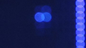 Adamari López en 'Así Se Baila'