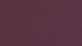 Estos son los zapatos que viene usando Adamari López y por los que las mujeres andan enloquecidas-