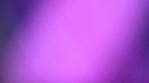 Comienza el casting de Nuestra Belleza Latina de Univision presentado por Alejandra Espinoza.