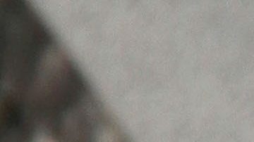 Alicia Machado le mostró los senos a Roberto Romano en la Casa de los Famosos y este se los tocó.