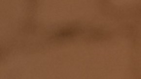 Rosa Hernández. sobreviviente del ataque terrorista del 9/11, quien trabajaba en Windows on the World