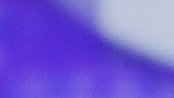 Offset, marido de Cardi B, pasó el susto de su vida mientras le hacía piojito a un León.