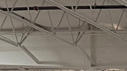 Costco advierte que algunos artículos comprados en línea podrían sufrir retrasos