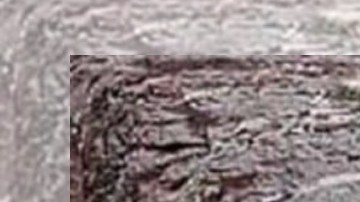 Familia completa es mutilada e incinerada en México-2