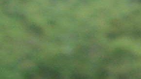 Ronnie Brunswijk, vicepresidente de Surinam