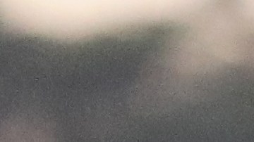 Hay que  celebrar la fuerza de nuestra comunidad y cultura. /Archivo