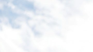 Investigación por la desaparición de Gabby Petito