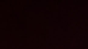 Homicidio en Lakeland, Florida