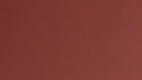 El gobierno mexicano, presidido por AMLO, rifará diversos bienes que pertenecieron al crimen organizado