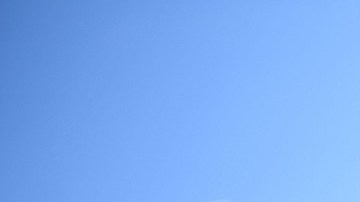 El Censo 2020 reveló nuevos datos sobre la comunidad latina en EE.UU.