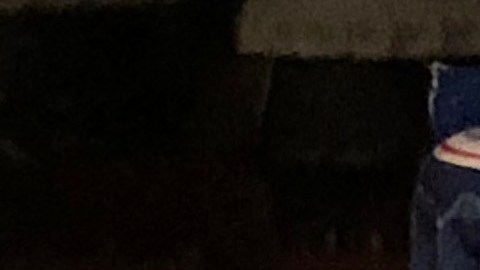 cerveza-samuel-adams