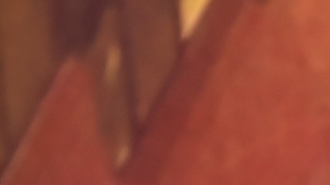 Elliot Page apareció en la alfombra roja de la MET Gala 2021 tras sus cambios físicos