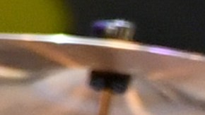 Esta no es la primera vez que la gira de Ringo Starr y su All Starr Band se ve obligada a suspenderse por contagios de Covid-19.