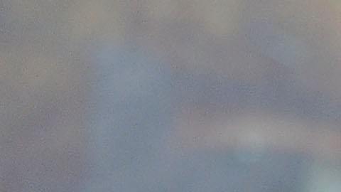 Tom Felton, estrella de Harry Potter, sufrió un colapso durante un partido de golf
