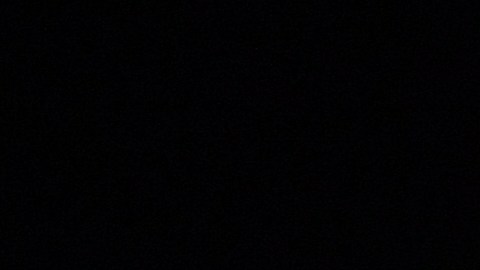 El expresidente Trump todavía no ha confirmado que competirá el 2024 por la Presidencia.