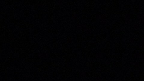 El expresidente Trump todavía no ha confirmado que competirá el 2024 por la Presidencia.