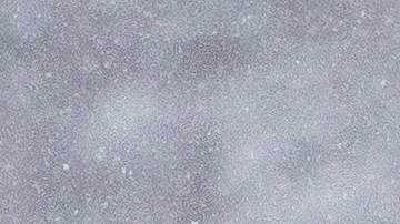 Pronostican primeras nevadas en el Noroeste de EE.UU. para este fin de semana