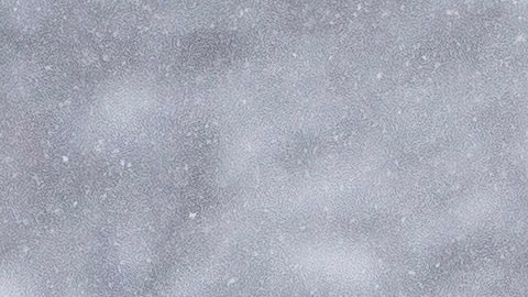 Pronostican primeras nevadas en el Noroeste de EE.UU. para este fin de semana