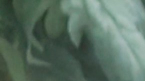 UE espera retomar confianza con EE.UU. tras llamada entre Biden y Macron