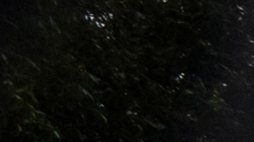 Manifestación "Justice for J6"