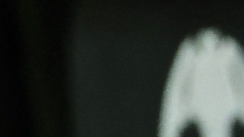 Carlo Ancelotti