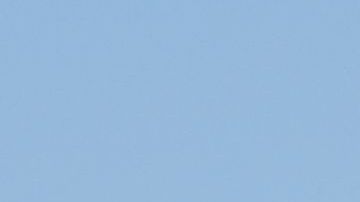 Patrulla Fronteriza persiguiendo a haitianos