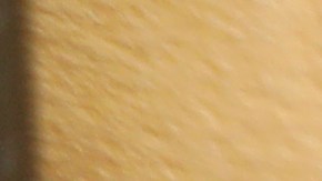 FBI confirmó que el cuerpo encontrado en Wyoming pertenece a Gabby Petito